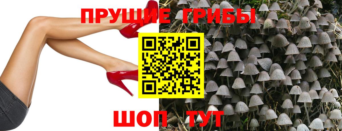 Дзержинск  Галлюциногенные грибы прущие грибы  Вход с VPN 